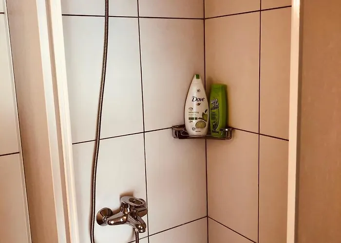 Casa vacanze Joy City Unirii19 Timisoara